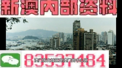 2025新澳门最精准免费大全与新澳2025精准正版資料与警惕虚假宣传-全面释义、解释与落实